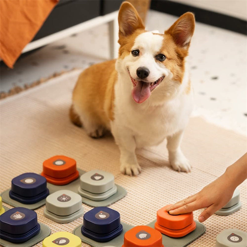 C--4 Colors Pet Communication Button One-click Prevent Physical Inactivity Recordable Dog Talking Button Toy Cat Toy Pet Products