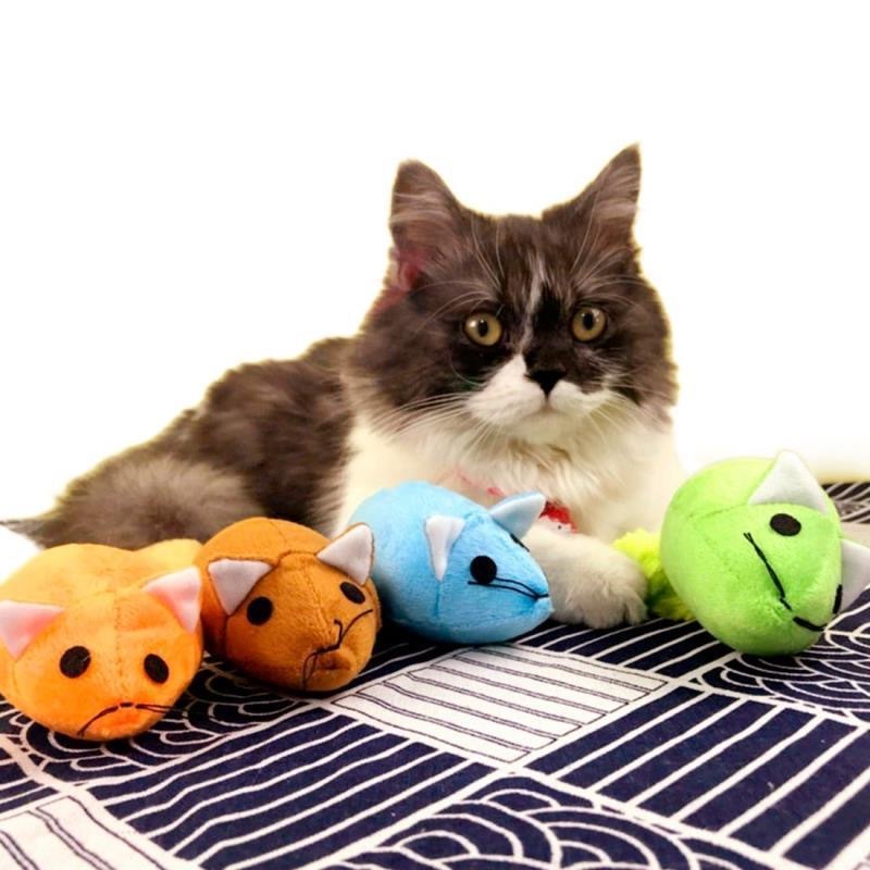 C--Long Tail Mouse Cat Teaster Toys Funny Pet Toys Cat Toys Mouse Trainning Funny Playing Toys Interactive Pets Products
