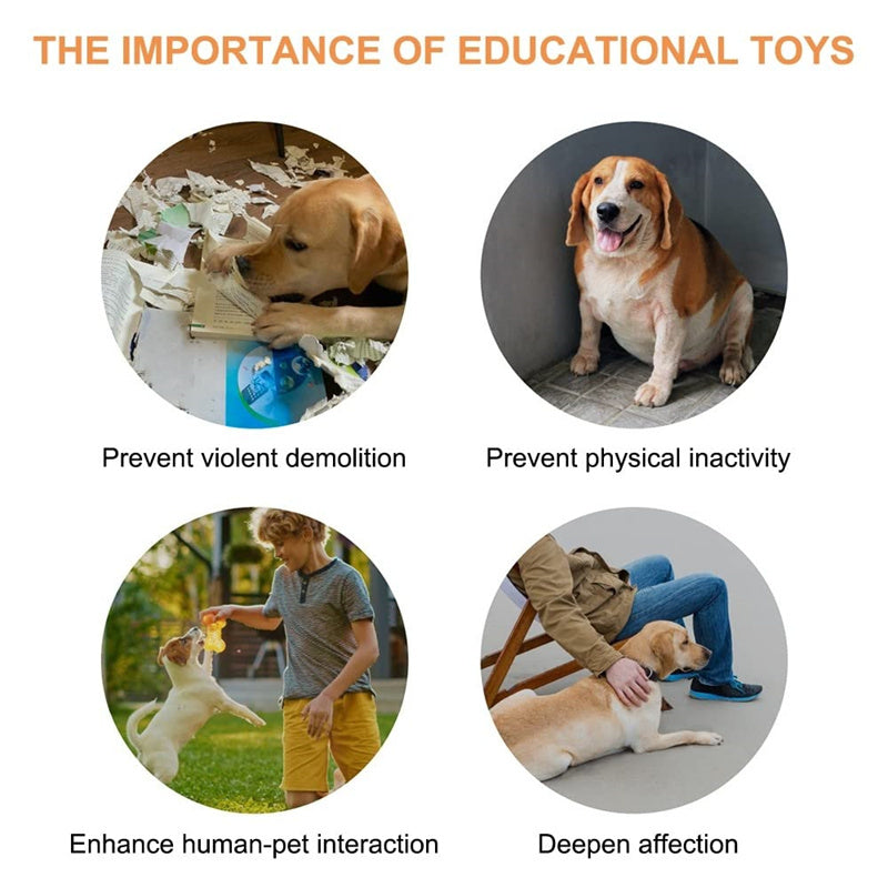 C--4 Colors Pet Communication Button One-click Prevent Physical Inactivity Recordable Dog Talking Button Toy Cat Toy Pet Products